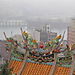 taiwan-fevrier-2005