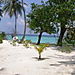 Maldives bandos