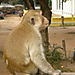 Sany0044
