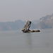 Halong_16