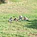 photos suivantes, quelques personnages