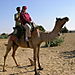 Désert de thar, le safari chameau