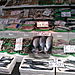 Etal de poissons