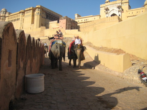 montée au fort d'amber à dos d'éléphant