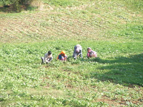photos suivantes, quelques personnages