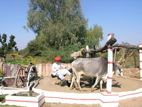Ranakpur, le puits