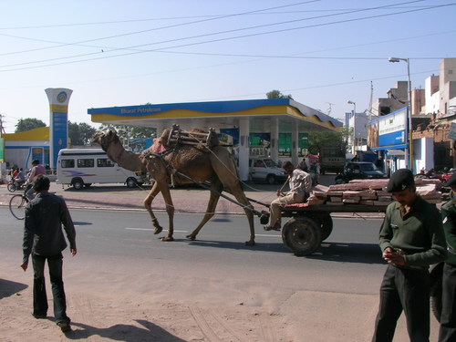 moyen de transport le plus utilisé