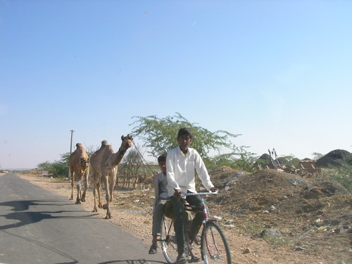 Désert de thar, sur la route.....