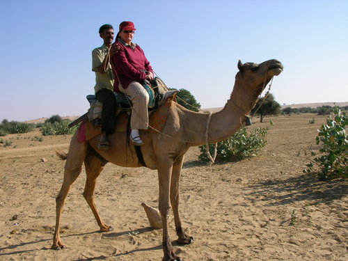 Désert de thar, le safari chameau