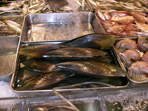 Ca c'est de la moule !!