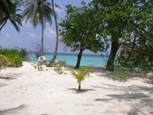 Maldives bandos