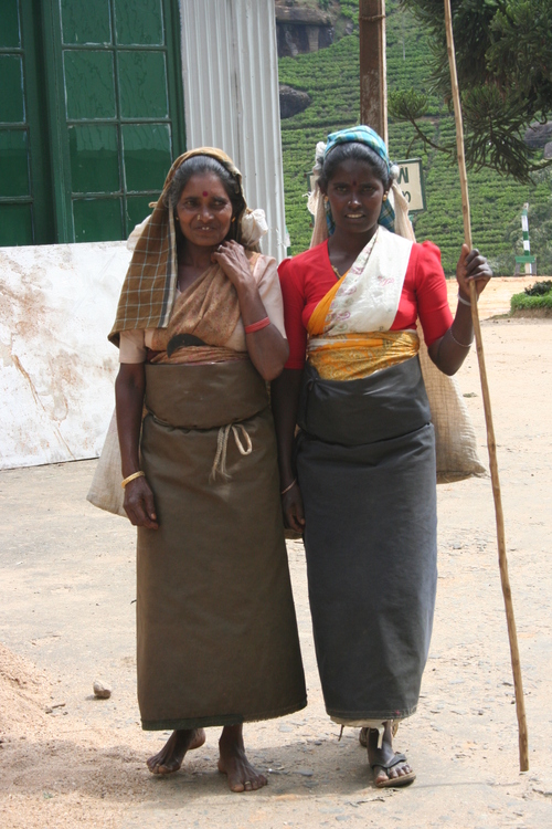 les cueilleuses de thé