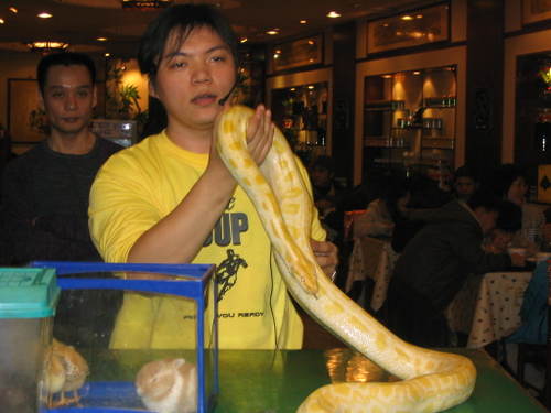 taiwan-fevrier-2005